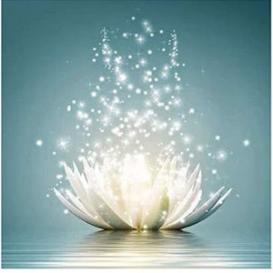 Meet your Posher, Krista